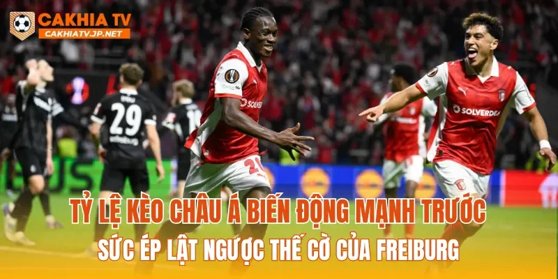 Tỷ lệ kèo Châu Á biến động mạnh trước sức ép lật ngược thế cờ của Freiburg