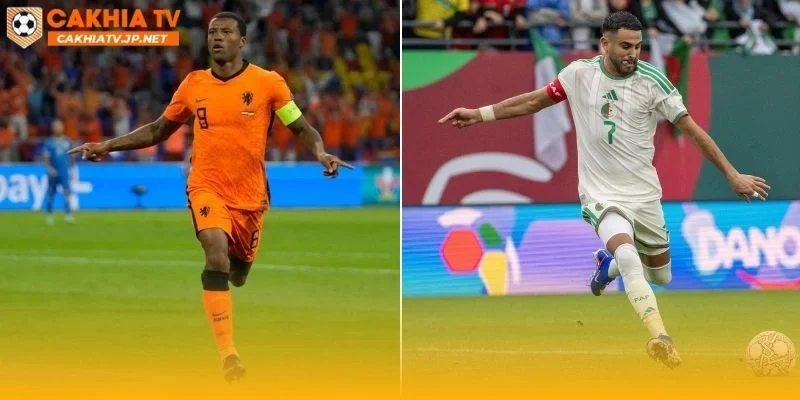 Hà Lan vs Algeria sẽ là lần đầu hai đội gặp nhau