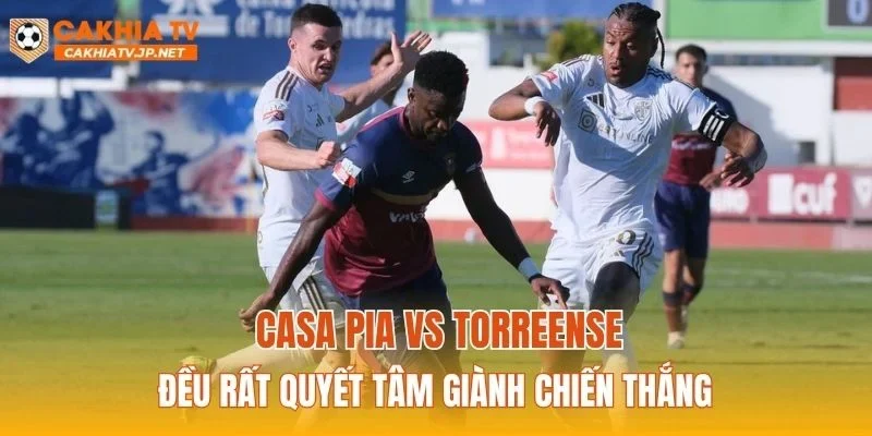 Nhận định Casa Pia vs Torreense sẽ vô cùng hấp dẫn
