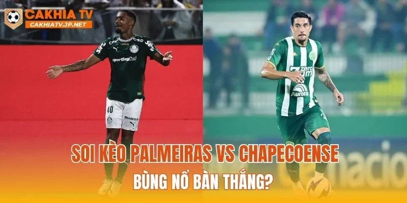 Soi kèo Palmeiras vs Chapecoense bùng nổ bàn thắng?