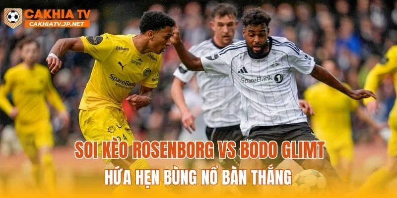 Soi kèo Rosenborg vs Bodo Glimt hứa hẹn bùng nổ bàn thắng