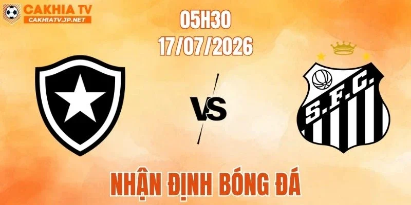 Botafogo RJ Vs Santos