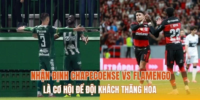 Nhận định Chapecoense vs Flamengo là cơ hội để đội khách thăng hoa
